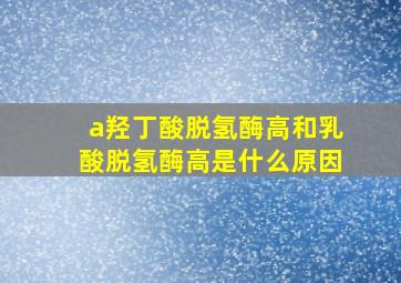 a羟丁酸脱氢酶高和乳酸脱氢酶高是什么原因