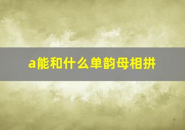 a能和什么单韵母相拼