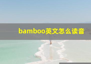 bamboo英文怎么读音