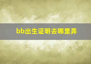 bb出生证明去哪里弄