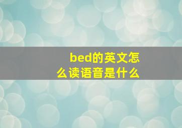 bed的英文怎么读语音是什么