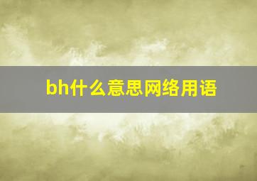 bh什么意思网络用语