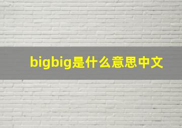 bigbig是什么意思中文