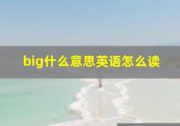 big什么意思英语怎么读