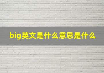 big英文是什么意思是什么