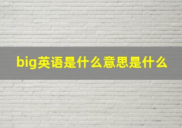 big英语是什么意思是什么