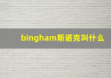 bingham斯诺克叫什么