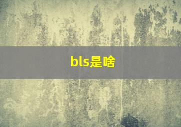 bls是啥