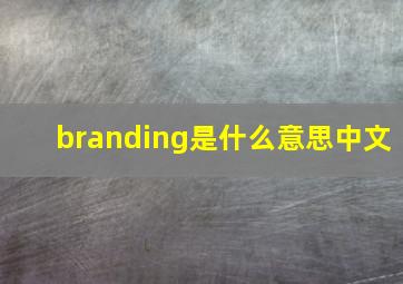 branding是什么意思中文