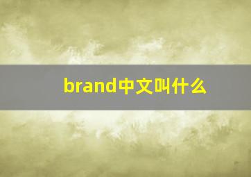 brand中文叫什么