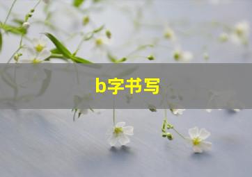 b字书写