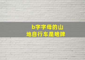 b字字母的山地自行车是啥牌