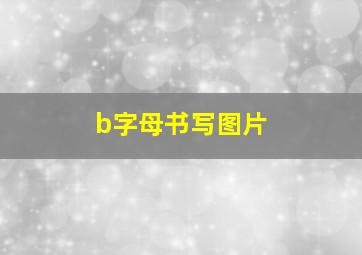 b字母书写图片