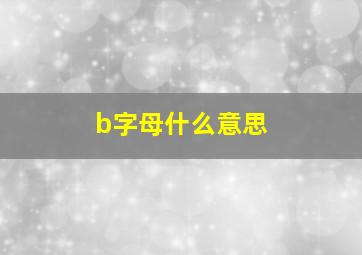 b字母什么意思