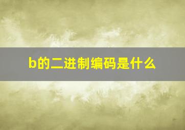 b的二进制编码是什么