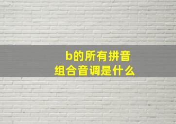 b的所有拼音组合音调是什么