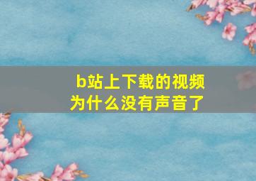 b站上下载的视频为什么没有声音了