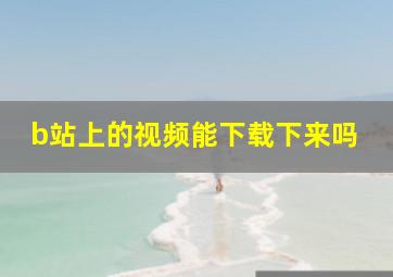 b站上的视频能下载下来吗