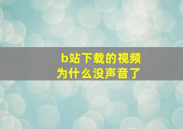 b站下载的视频为什么没声音了