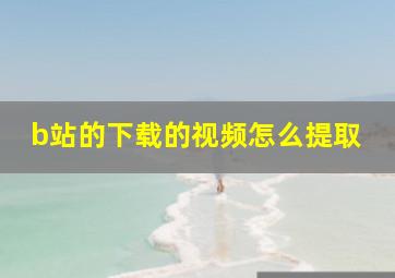 b站的下载的视频怎么提取