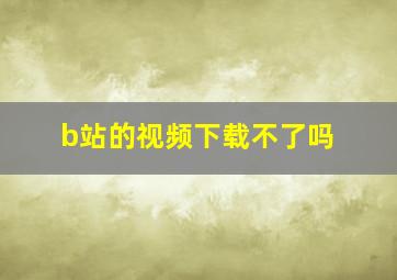 b站的视频下载不了吗