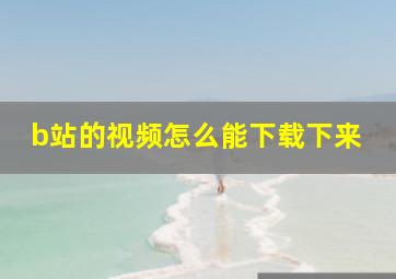 b站的视频怎么能下载下来