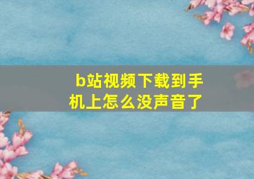 b站视频下载到手机上怎么没声音了