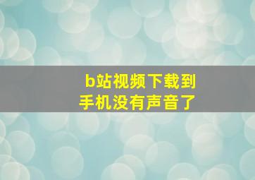 b站视频下载到手机没有声音了