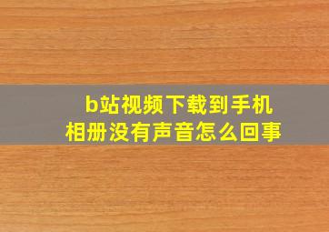 b站视频下载到手机相册没有声音怎么回事