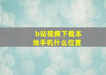 b站视频下载本地手机什么位置