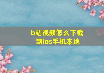 b站视频怎么下载到ios手机本地