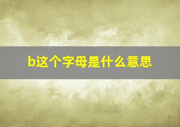 b这个字母是什么意思