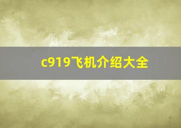 c919飞机介绍大全