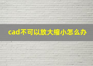 cad不可以放大缩小怎么办