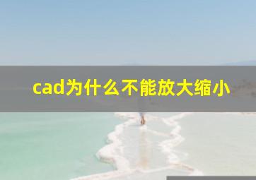 cad为什么不能放大缩小