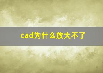 cad为什么放大不了