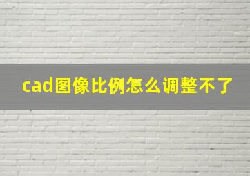 cad图像比例怎么调整不了