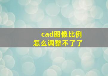 cad图像比例怎么调整不了了