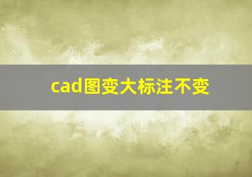 cad图变大标注不变