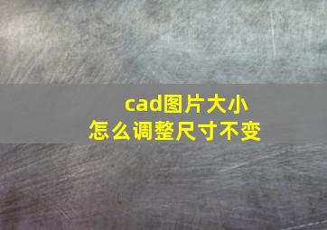 cad图片大小怎么调整尺寸不变