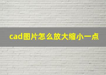 cad图片怎么放大缩小一点