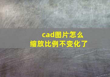 cad图片怎么缩放比例不变化了