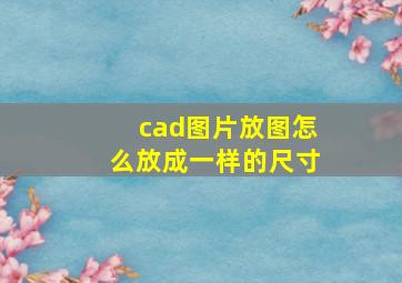 cad图片放图怎么放成一样的尺寸