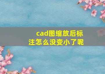 cad图缩放后标注怎么没变小了呢