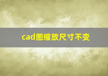 cad图缩放尺寸不变