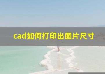 cad如何打印出图片尺寸