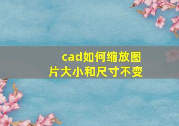 cad如何缩放图片大小和尺寸不变