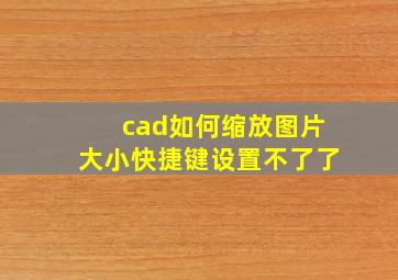 cad如何缩放图片大小快捷键设置不了了