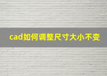 cad如何调整尺寸大小不变