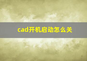 cad开机启动怎么关